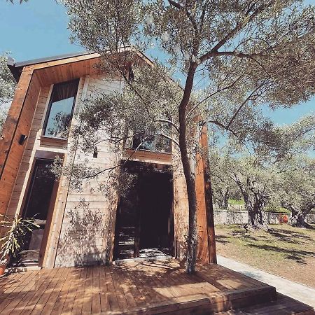 Olea Cottage Ulcinj Exteriér fotografie