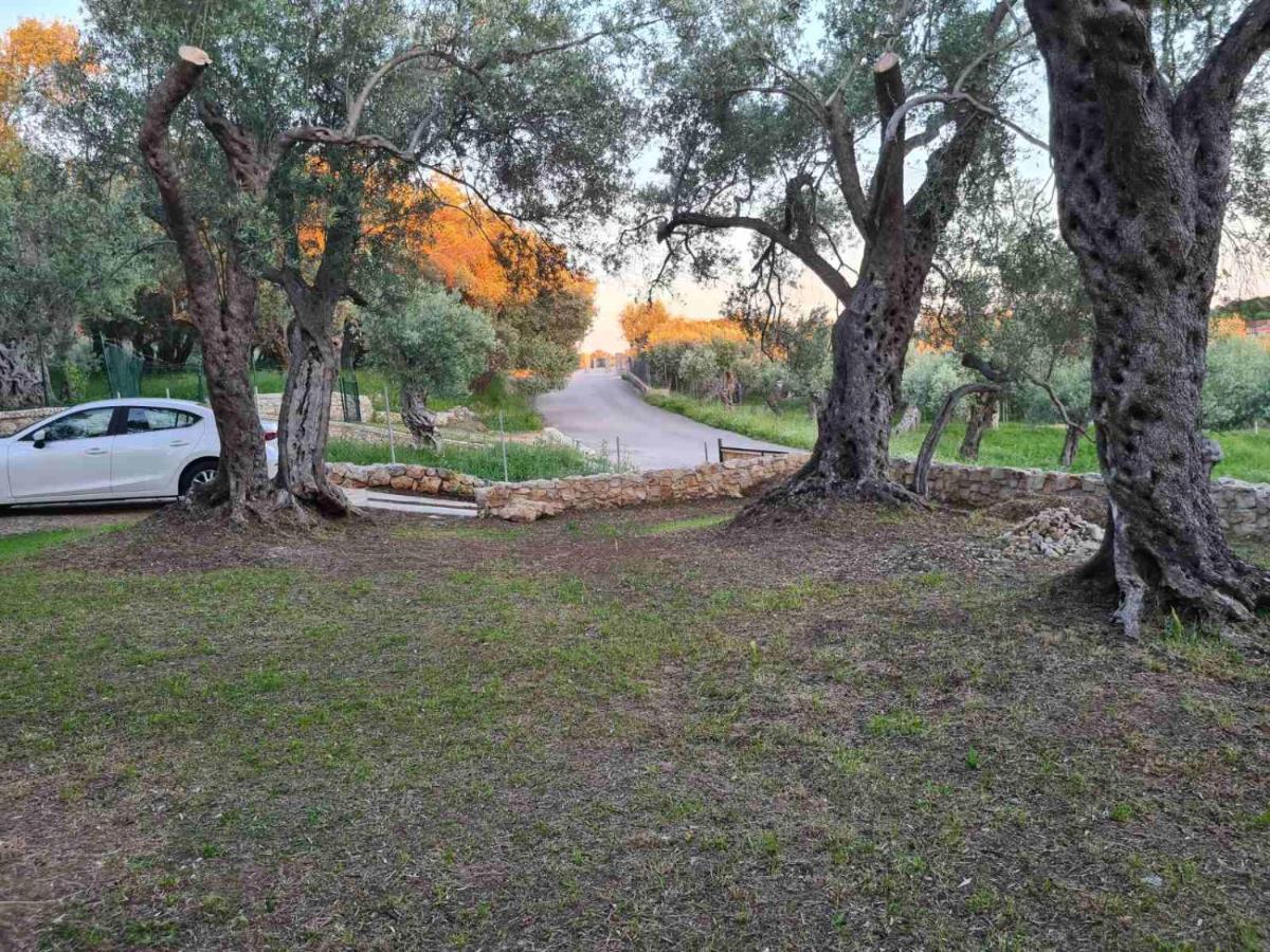 Olea Cottage Ulcinj Exteriér fotografie