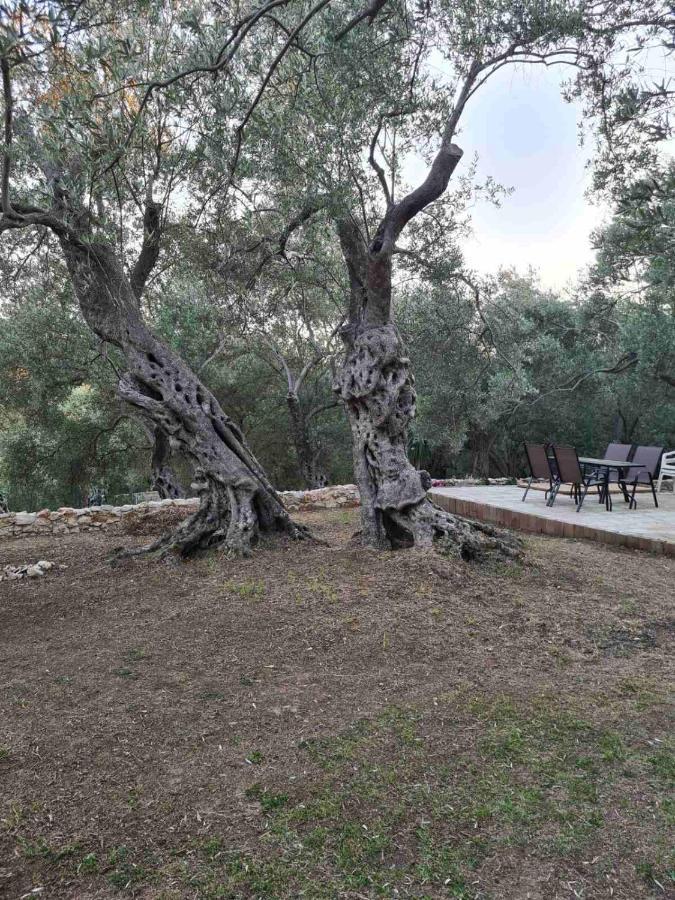 Olea Cottage Ulcinj Exteriér fotografie