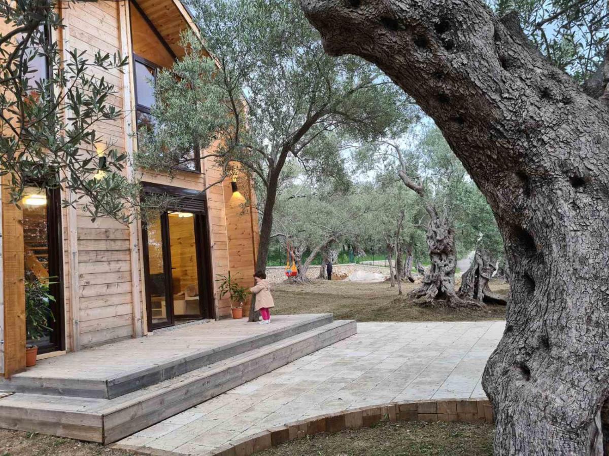 Olea Cottage Ulcinj Exteriér fotografie