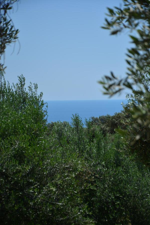 Olea Cottage Ulcinj Exteriér fotografie