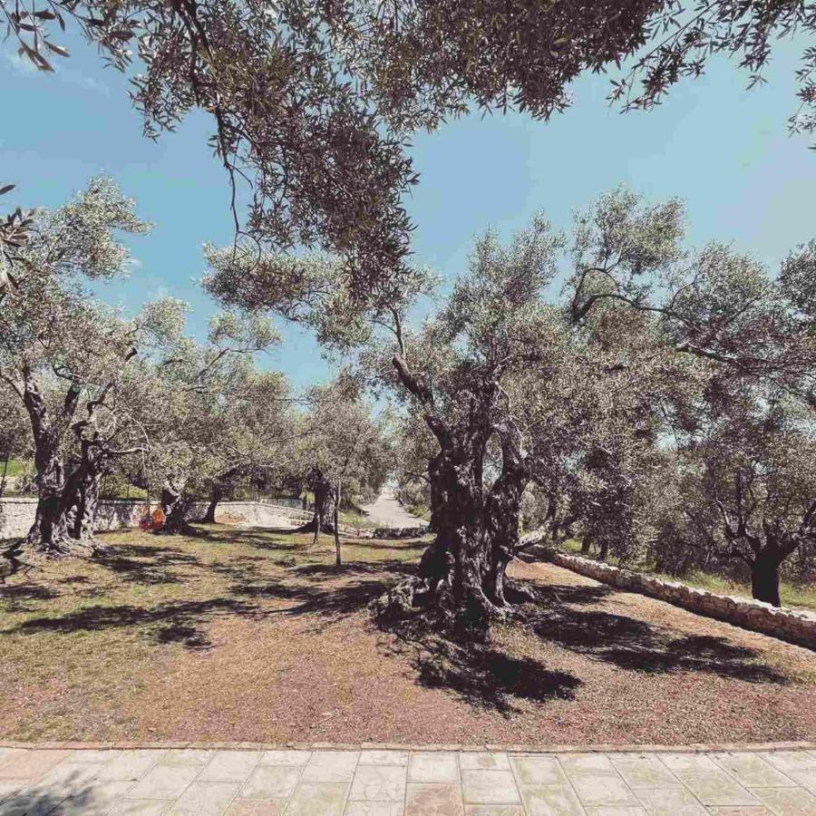 Olea Cottage Ulcinj Exteriér fotografie