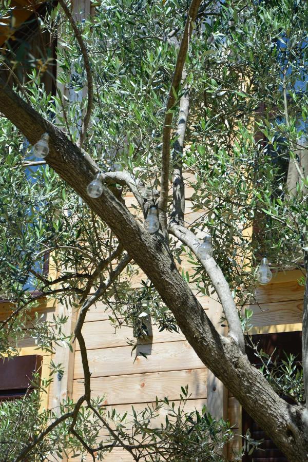 Olea Cottage Ulcinj Exteriér fotografie