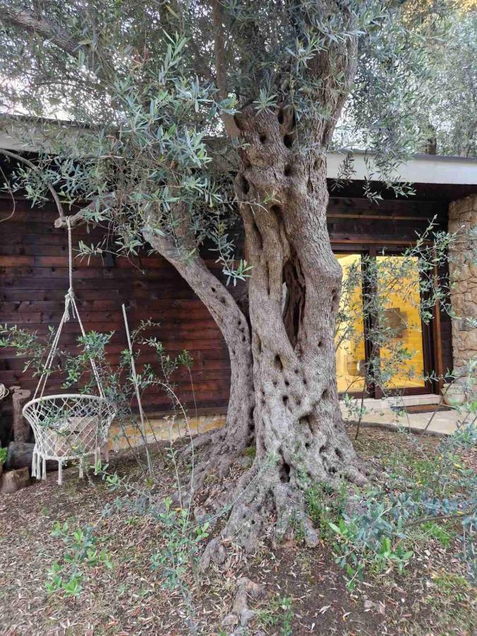 Olea Cottage Ulcinj Exteriér fotografie