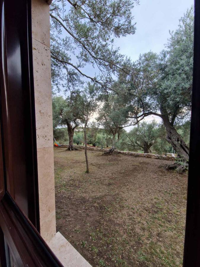 Olea Cottage Ulcinj Exteriér fotografie